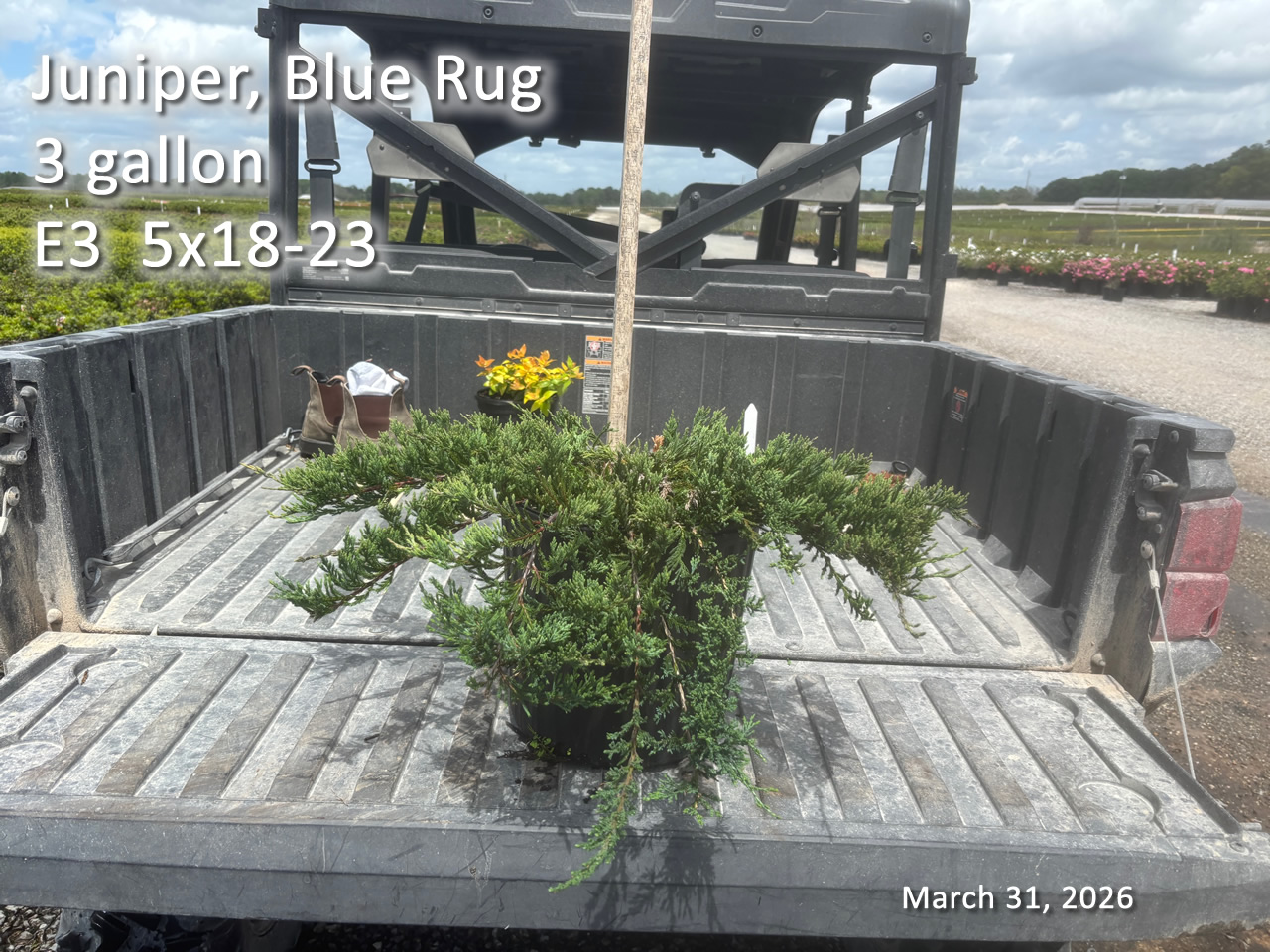 gallery/jbr3 e3 mar31.jpg